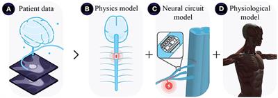 A computational roadmap to electronic drugs